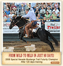 Matt and horse sepia photo