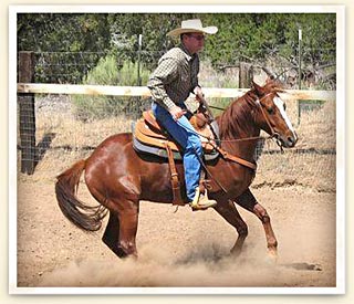 Matt on horse photo