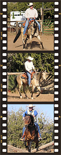 Horse Training photos